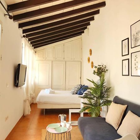塞维利亚Stunning Attic With Private Terrace And Parking Optional公寓 外观 照片