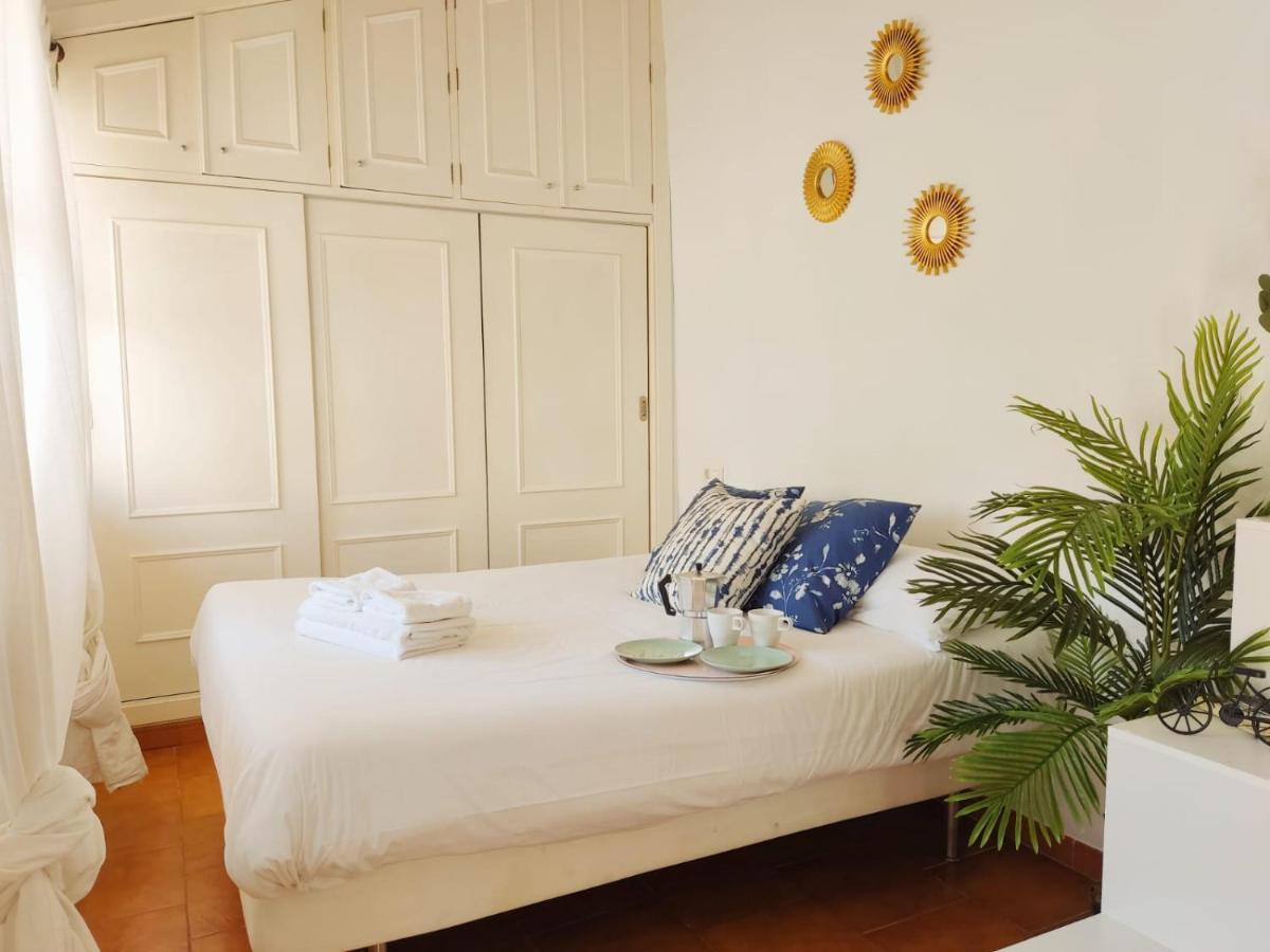 塞维利亚Stunning Attic With Private Terrace And Parking Optional公寓 外观 照片