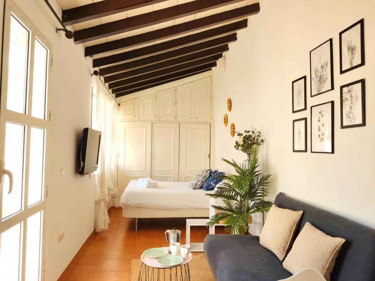 塞维利亚Stunning Attic With Private Terrace And Parking Optional公寓 外观 照片