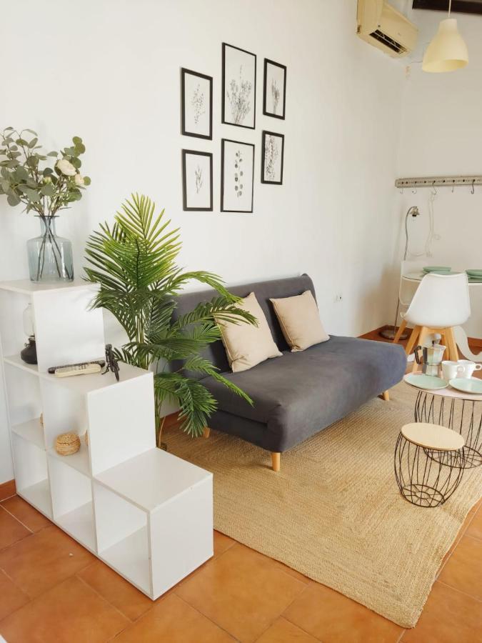 塞维利亚Stunning Attic With Private Terrace And Parking Optional公寓 外观 照片